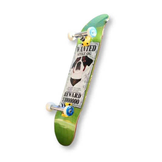 Skate Completo Skateshok PRO «Spike Wanted» (8.25″)