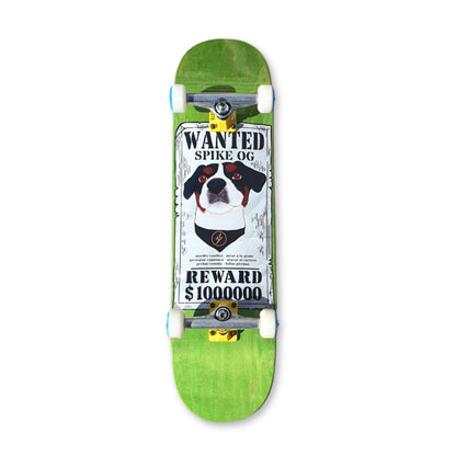 Skate Completo Skateshok PRO «Spike Wanted» (8.25″)