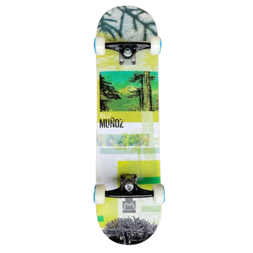 Skate Completo «Gansta» Promodel Willy Muñoz