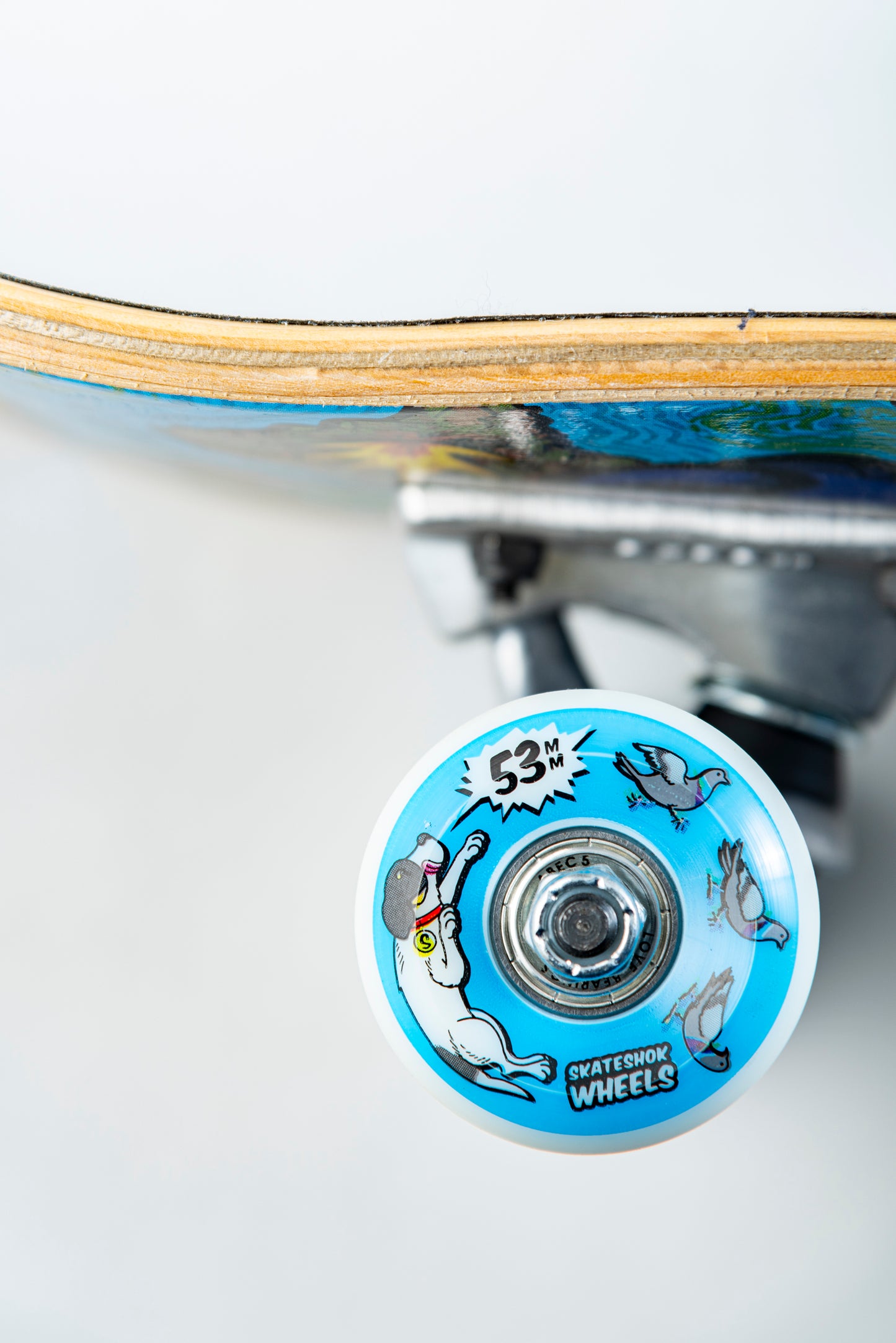 SKATE COMPLETO