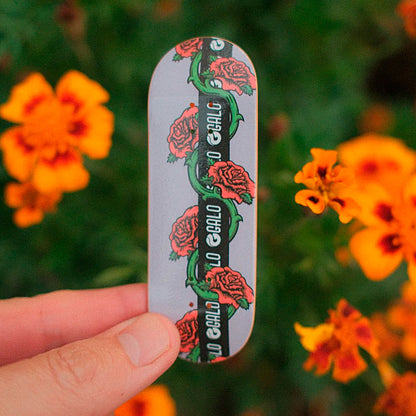 Deck Galo – Santa Rose